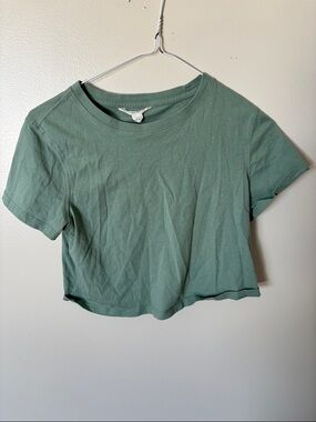 Classic Crewneck Crop Tee - Sage Green